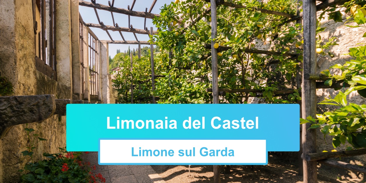 Limonaia del Castel – Terrassen mit Zitronen