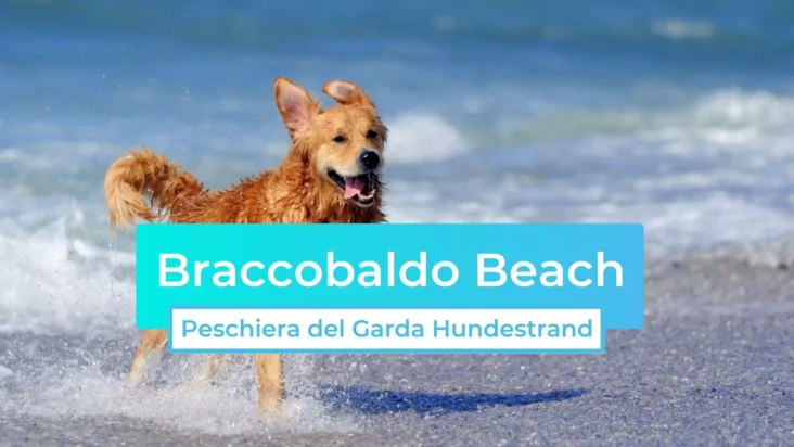 Braccobaldo Beach: Peschiera del Garda Hundestrand