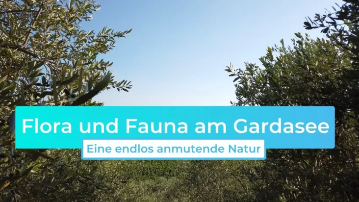 Flora und Fauna am Gardasee – Eine endlos anmutende Natur