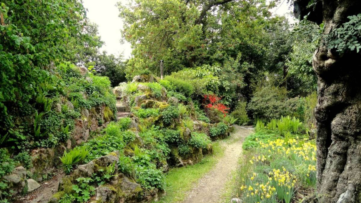 Schmaler Weg durch den Felsgarten im Giardino Botanico André Heller in Gardone Riviera, mit Farnen und Narzissen