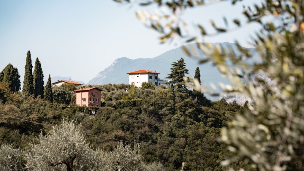 Blick über den Gardasee, Malcesine